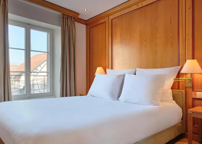 Hotel & Spa A La Cour D\'Alsace By Happyculture